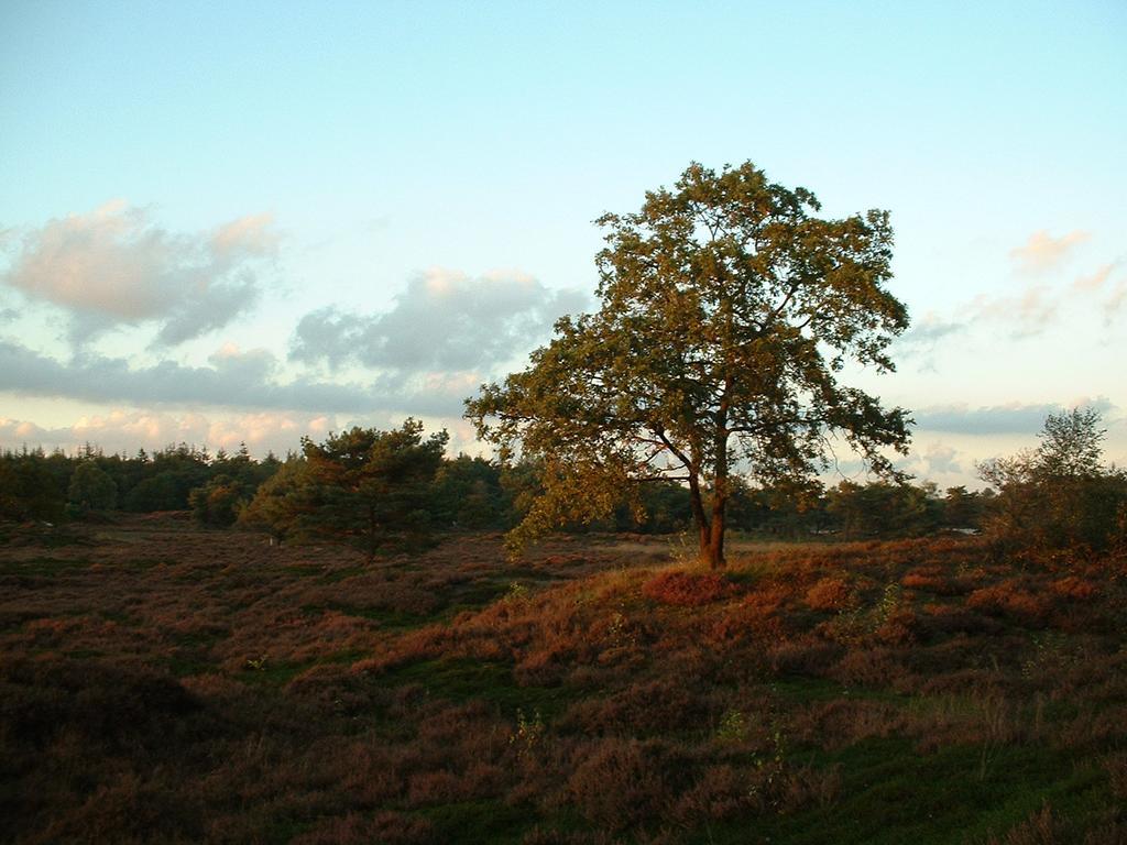 Vila De Riekhoff Een-West Exteriér fotografie