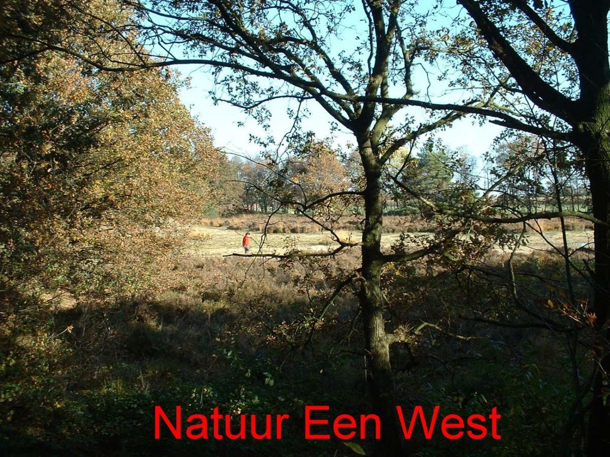 Vila De Riekhoff Een-West Exteriér fotografie